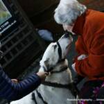 Patch saying hello