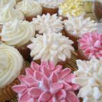 Cakes by Trish (my Mum!)